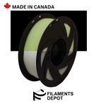 Filaments Depot PETG 1.75mm 1kg
