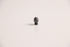Phaetus Tungsten Carbide Nozzle Mk8 - Various Sizes